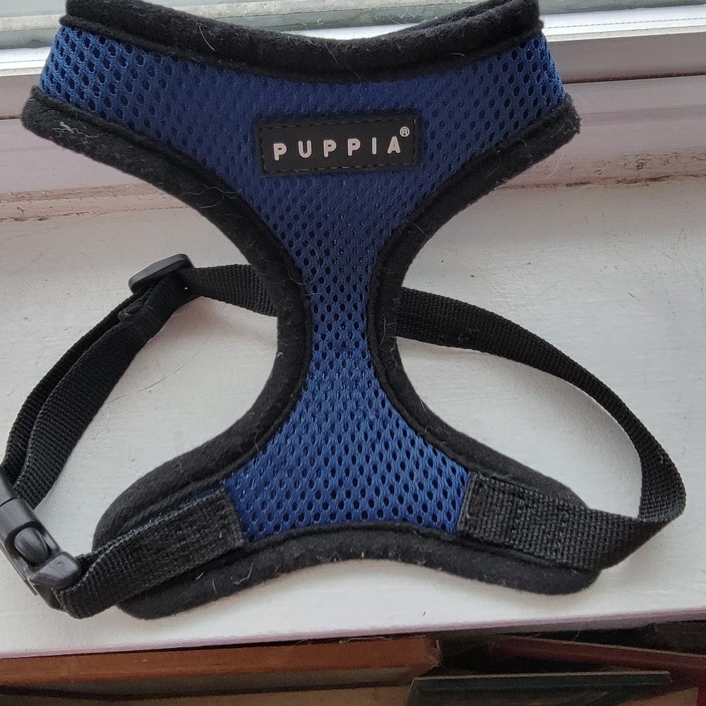 Dog harness